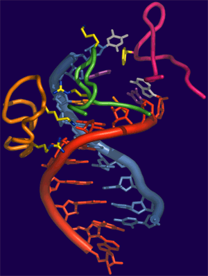 Home Page Image