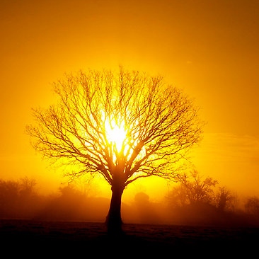 the nature of reality